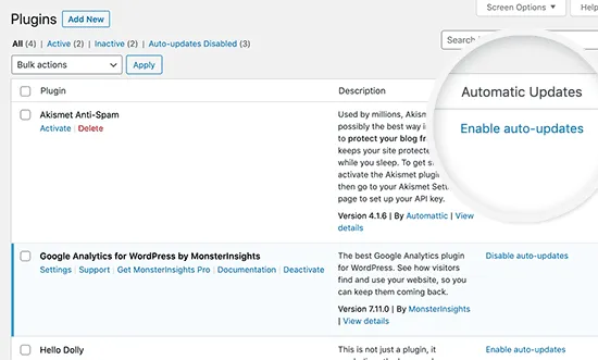 wordpress 5.5