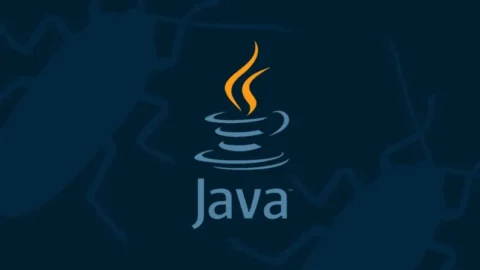 Java In Last 25 Years : A Staggering Look Into Past & Future