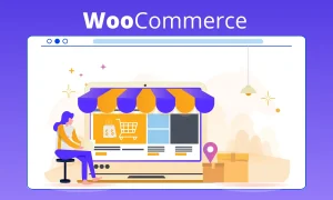 How will WooCommerce CMS Help You To Grow e-Commerce Business?