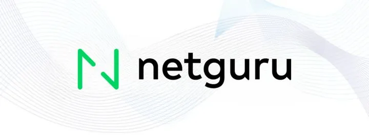 Netguru