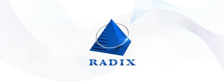 Radixweb