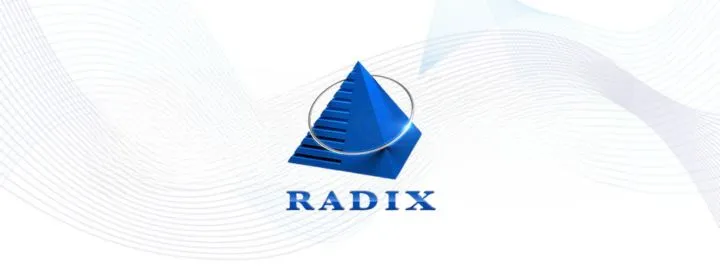 Radixweb