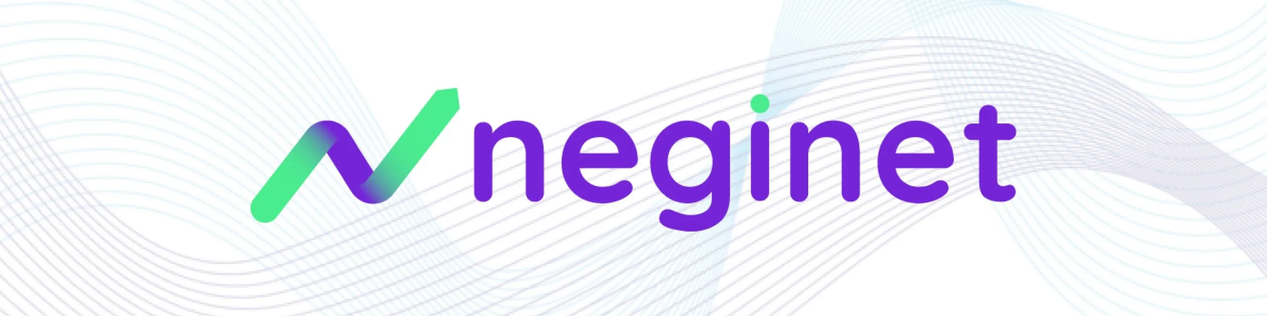 Neginet Software