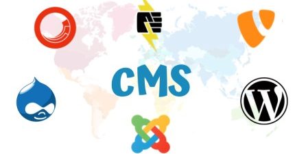 Top CMS Platforms