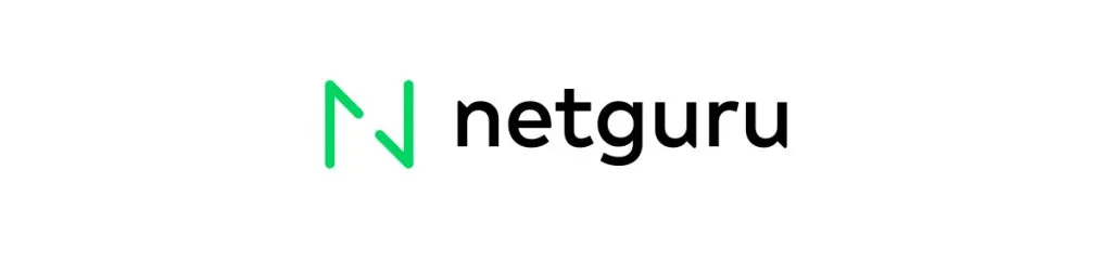 Netguru 