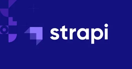 Strapi Development Guide