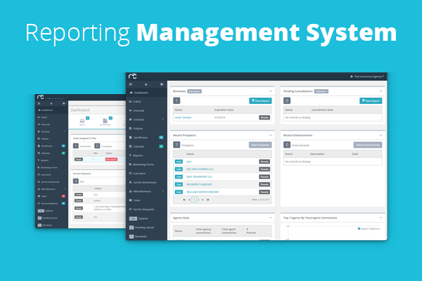 Reporting Management System Client Case Studies